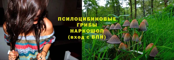 ешки Вязники